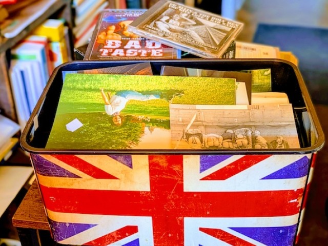 H&auml;uptling Jecker Hengst